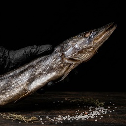 Pike