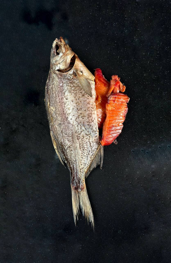 Dried bream with roe