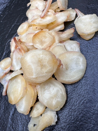 Пʼятачки восьминога